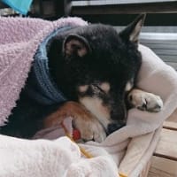 ありがとう