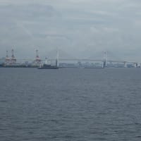 NIPPON MARU ゴールデンウィーク日本一周クルーズ⑬ー横浜港へ