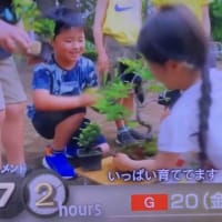 ドキュメント72時間・・身体均整法という整体、療術(その３)の付録
