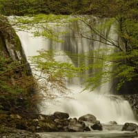 こもれびの滝　不易の滝