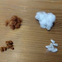 「茶色の綿」と「白い綿」