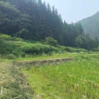 草刈り