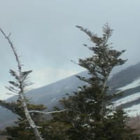 昨日は富士山五合目へドライブ