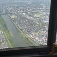 自衛隊航空機に搭乗してきました