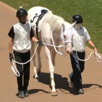 函館競馬・２歳新馬戦で “白毛馬” 快勝．．．