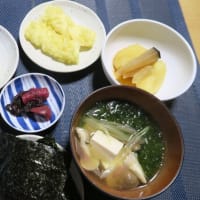 さわやかごはん、シンプル炊屋食堂の田舎定食・・・腹八分目。