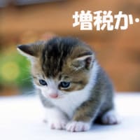 増税を批判しても何も始まらない。