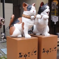 谷根千！富士見坂や猫が面白い！邪悪なハンコ屋も有るでよぉ～！