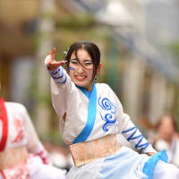 よさこいダンスチーム東海大学響　第19回「湘南よさこい祭り2024」