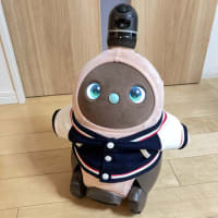 インラインスケート楽しいよね。