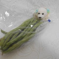 今週は梅雨の中休み？ 真夏日でもう夏だ～ ヾ(;´▽｀A``