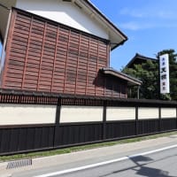 しだれ桜の上呂～萩原