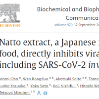 日本の大豆発酵食品である納豆エキスは試験管内でSARS-CoV-2を含むウイルス感染を直接阻害する