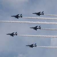 ひらパー近くから撮った「ブルーインパルス飛行」