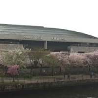 お花見in大仙公園＆大阪城