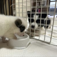 どっち？