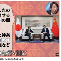 【怒】親中を隠している議員の実名晒します！