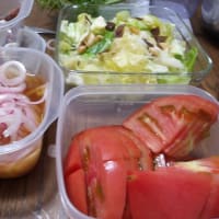 ナスの支柱立て