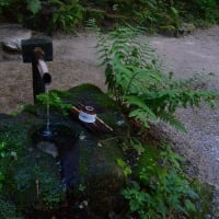 真夏の一研究「遠山の観音霊水」VS「猿倉の泉」③　猿倉の泉