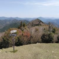 真妻山