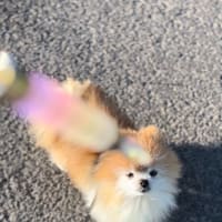 雨上がり病み上がり