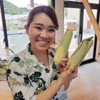 トウモロコシを煮てみました