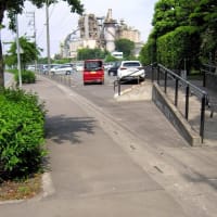 日高市のカラーマンホールの蓋