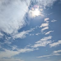 今年の夏も暑くなりそう