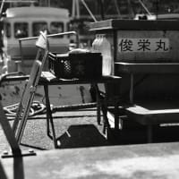 静かな漁港-和歌山県和歌山市：雑賀崎