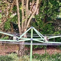 日曜麻雀教室