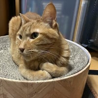 ぼくは元気ですよ