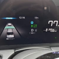 プロパイロットの事