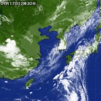 太平洋高気圧が張り出してきたが…風が強い～  (￣△￣) ちいかわのウサギ♪