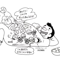 メタボのお腹は炎症で火がついた状態
