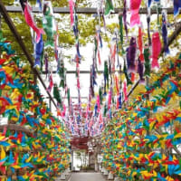 寶徳寺　～群馬県～