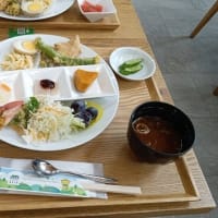 上矢作