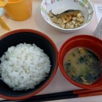 入院　２０日目　退院