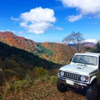 紅葉見物に