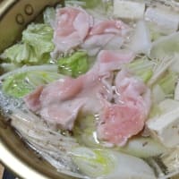 月下美人の第一回目開花2025