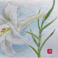 書中お見舞い申し上げます。