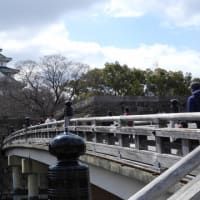 大阪城公園（２０２５年３月７日）