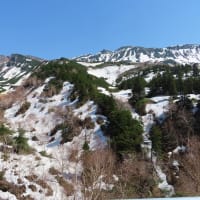 十勝岳の残雪だけは見たくって(*'▽')