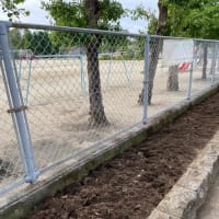 夏の花壇へ・・・小学校花壇の草取り