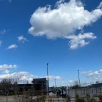 見上げた空に