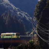 錦川清流線