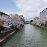 京で信念を貫いた女③新島（山本）八重12km〜京都府ウォーキング協会例会