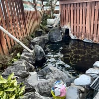 ２０２４年冬　九州の旅第二部　阿蘇くじゅう国立公園　由布岳　狭霧台　長者原道標　牧ノ戸峠　やまなみハイウェイ展望台　みしま温泉　味千ラーメンくす店　道の駅「童話の里 くす」