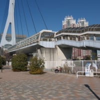 １月のお台場：シンボルプロムナード散策道を歩いて東京テレポート駅前へ　ＰＡＲＴ２