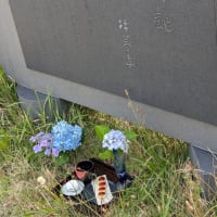 林芙美子の碑に献花