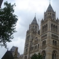 ロンドン自然史博物館